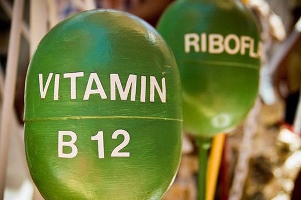 la vitamine b12 nous permet de renouveler nos cellules