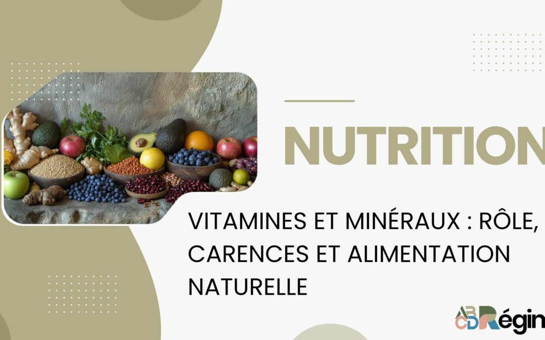 Vitamines et minéraux : rôle, carences et alimentation naturelle